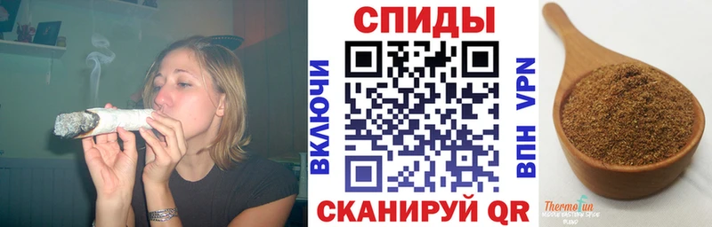как найти закладки  Мураши  Бутират BDO 