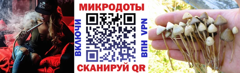 Псилоцибиновые грибы Psilocybe Мураши