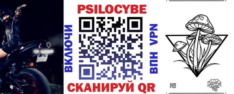 Галлюциногенные грибы Psilocybine cubensis  Мураши 